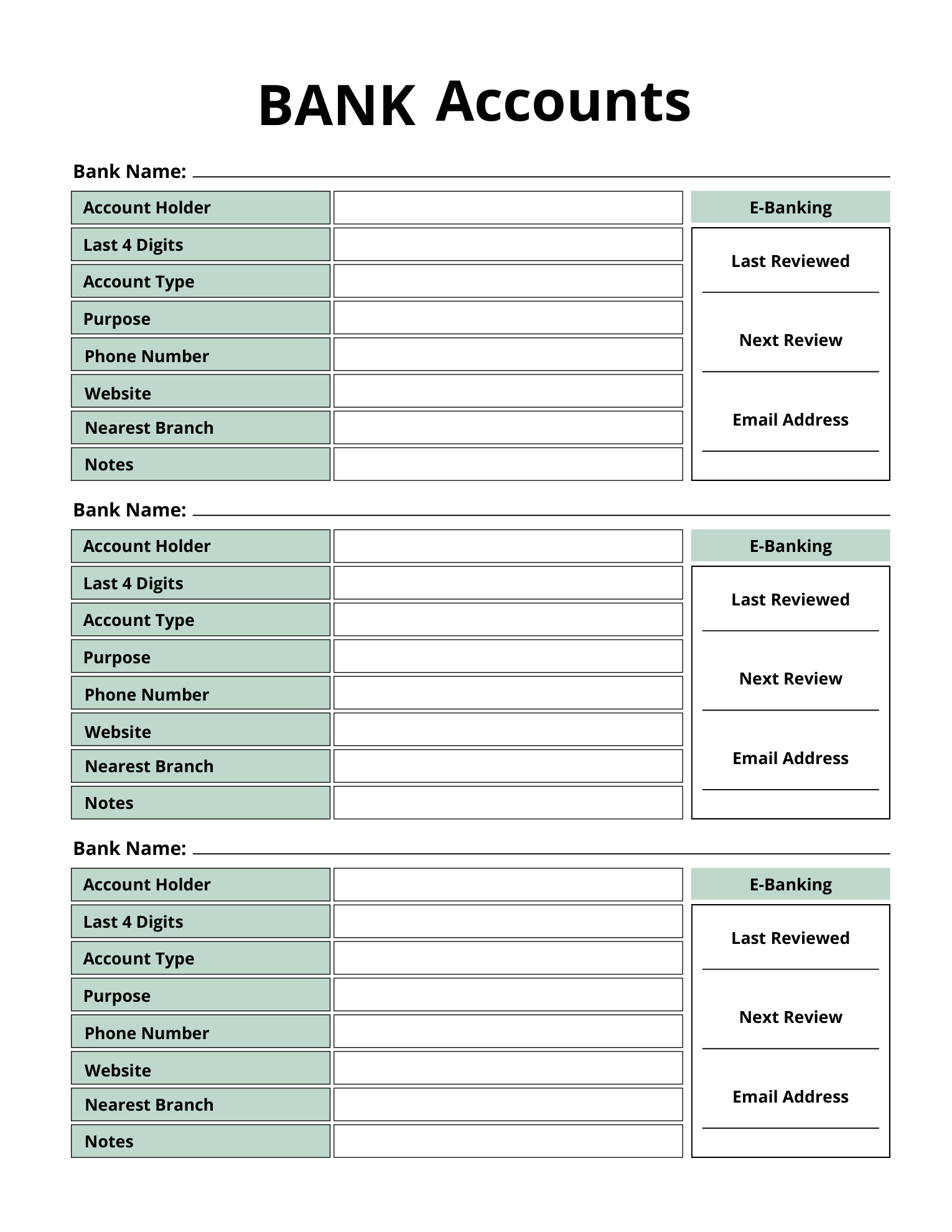 Actual Bank Accounts page with three sections for account holder, last four digits, account type, purpose, contact details and review dates.