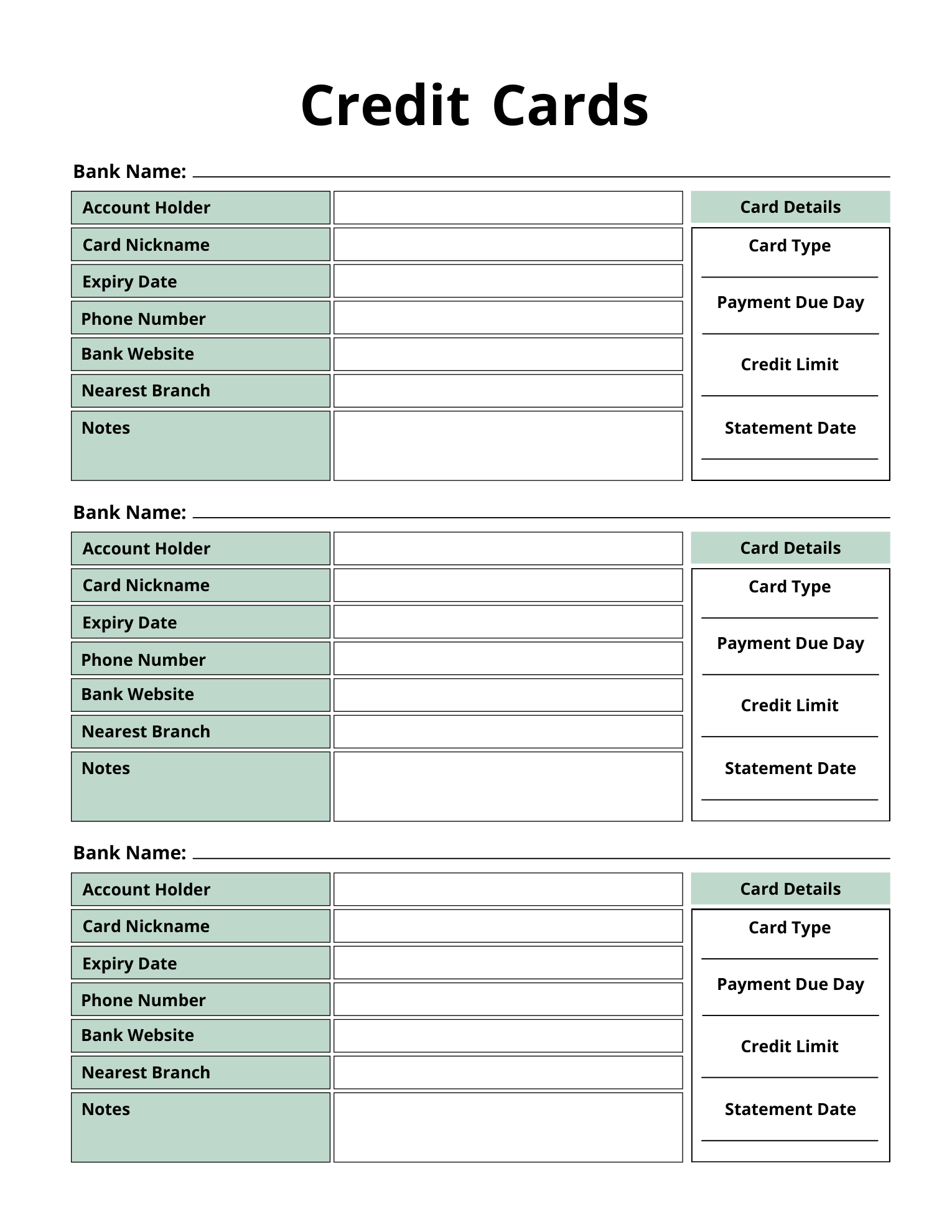 Actual Credit Cards page with three sections for account holder, card nickname, expiry date, contact details, card type, payment due day, credit limit and statement date.